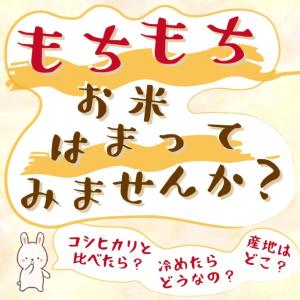 米 新潟魚沼産 ミルキークイーン 令和7年 お...の詳細画像2