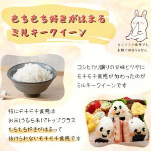 米 新潟魚沼産 ミルキークイーン 令和7年 お...の詳細画像3
