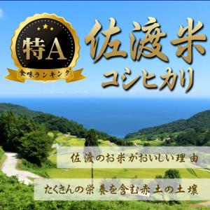 米 新潟県産 コシヒカリ 佐渡産 令和7年 玄...の詳細画像4