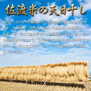 米 新潟県産 コシヒカリ 佐渡産 令和7年 玄...の詳細画像5