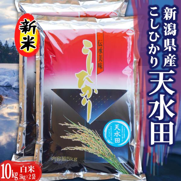 米 令和5年 お米 10kg 新潟県天水田 コシヒカリ 白米10kg （5kg×2）天然雪解け水と湧...