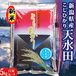 米 令和5年 お米 5kg 新潟県天水田 コシヒカリ 白米5kg （5kg×1）天然雪解け水と湧き水で育てた 棚田米 ｜ 米 おこめ お米 5kg 白米 送料無料