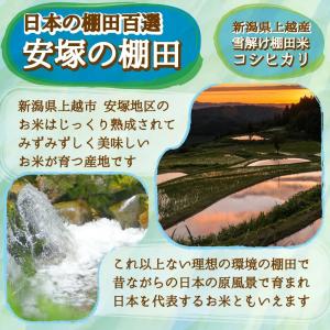 米 新潟県産 コシヒカリ 令和7年 20kg ...の詳細画像3