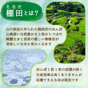 米 新潟県産 コシヒカリ 令和7年 20kg ...の詳細画像4