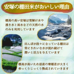 米 新潟県産 コシヒカリ 令和7年 20kg ...の詳細画像5