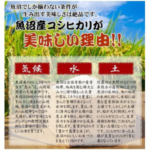 完熟米 新潟県南魚沼 しおざわ産コシヒカリ 玄...の詳細画像2