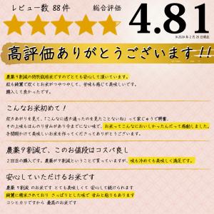 米 コシヒカリ 特別栽培 令和7年 10kg ...の詳細画像2