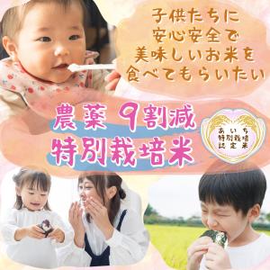 米 コシヒカリ 特別栽培 令和7年 10kg ...の詳細画像3
