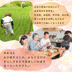 米 コシヒカリ 特別栽培 令和7年 10kg ...の詳細画像4