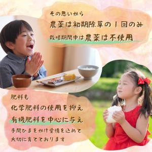 米 コシヒカリ 特別栽培 令和7年 10kg ...の詳細画像5