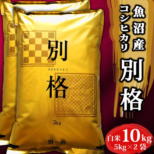 米 令和5年 10kg 新潟県魚沼産コシヒカリ 「別格」 白米10kg（5kg×2） 令和５年産米 ...