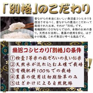 新米 新潟魚沼産 コシヒカリ 令和8年産 お米...の詳細画像3