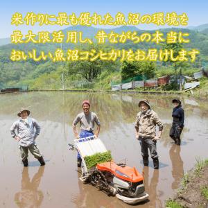 新米 新潟魚沼産 コシヒカリ 令和8年産 お米...の詳細画像4