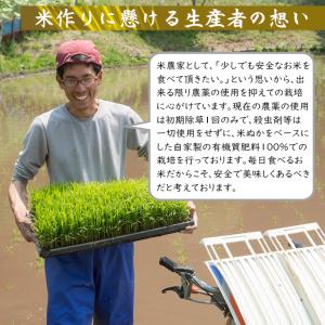 新米 新潟魚沼産 コシヒカリ 令和8年産 お米...の詳細画像5