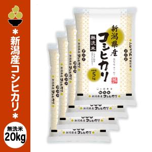 令和7年産 無洗米 新潟産コシヒカリ 20kg ...の商品画像
