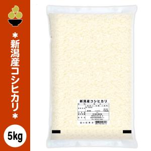 令和7年産 新潟産コシヒカリ 5kg (5kg x 1袋) ラベルレス 一括表示 食品表示はシール ノベルティ 五ツ星お米マイスター 厳選 新規開店 セール 開催中