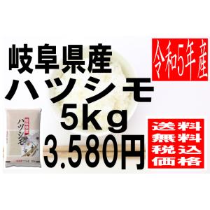 米　令和5年度産　岐阜県産　ハツシモ 5kg　