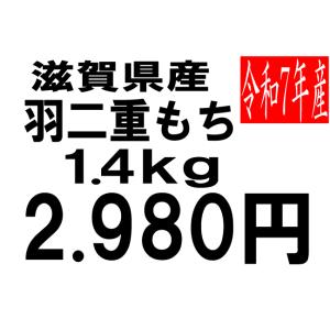 米 令和7年度産 滋賀県産 羽二重もち米 2.8kg : お米の米久 - 通販