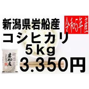 米　令和5年度産　新潟県　岩船産　コシヒカリ 5kg