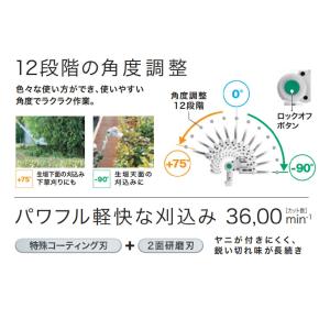 マキタ 充電式ポールバリカン MUN301LDZの詳細画像1
