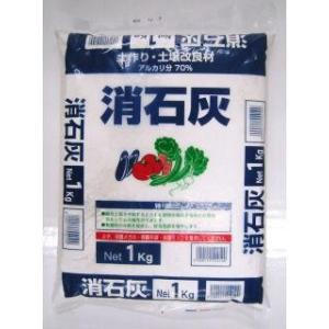 消石灰 1kg