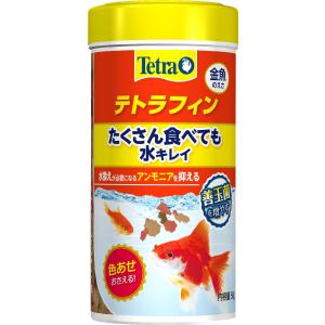 テトラ　テトラフィン　金魚のえさ　５０ｇ