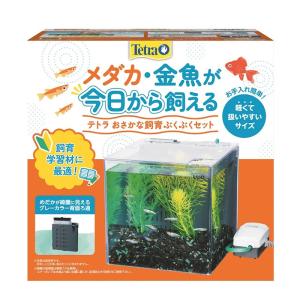 GEX（ジェックス） カメ元気かんたん飼育セットST : コメリドット