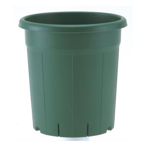 アップルウェアー バラ鉢 グリーン 8号 : コメリドットコム - 通販