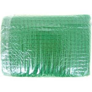 有結ネット 緑 2m×10m 目合25mm 多目的マルチネット アークランズ