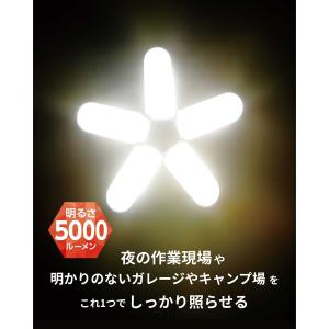 BOLTS(ボルトス) 防雨型クリップ付き5枚...の詳細画像5