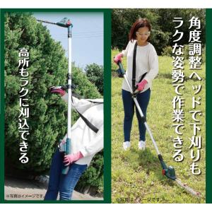 B-Share 18V充電式ポールバリカン B...の詳細画像1