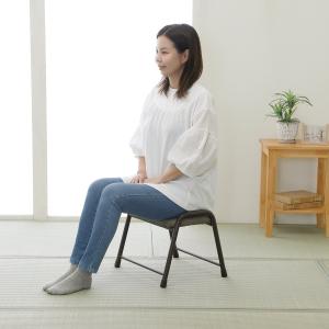 アテーナライフ 座れる踏み台 バラクの詳細画像1
