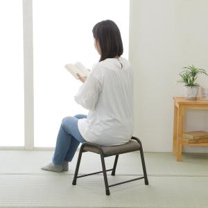 アテーナライフ 座れる踏み台 バラクの詳細画像2