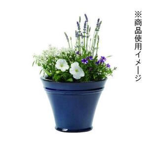 コメリ ドットコム 花瓶 花台 の商品一覧 花 ガーデニング 通販 Yahoo ショッピング