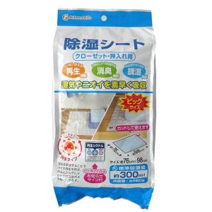 ⭐️山田印⭐️ ネーム9 別製 創業100周年記念カラー 富士の晴(ふじのはれ)|XL-9/CJ1