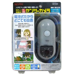 DXデルカテック 防犯カメラ付きLEDセンサーライト 1000lm 1灯タイプ
