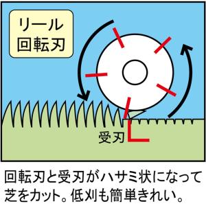 キンボシ 手動芝刈機 ミラクルバーディーモアー...の詳細画像3