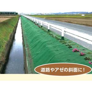 極厚防草シートタフマット　幅２ｍ×長さ２０ｍ