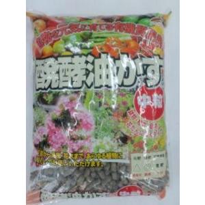 ハイポネックス リキダス 800mL : コメリドットコム - 通販