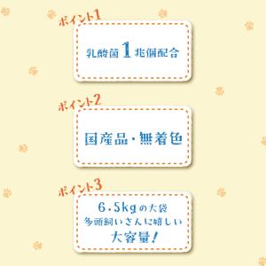 スマック キャットスマック にゃんズ満足 多頭...の詳細画像3