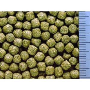 キョーリン ひかりデイリー 中粒 4kgの詳細画像1