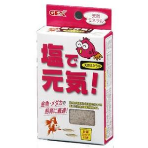 ＧＥＸ　塩で元気　１００ｇ｜komeri