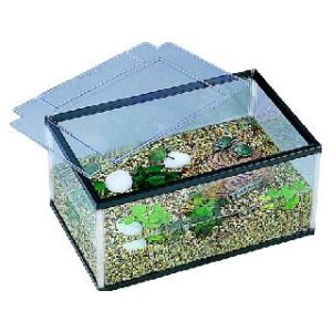 ジェックス（ＧＥＸ）　カメ元気かんたん飼育セットＳＴ