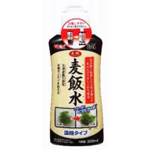 ジェックス（ＧＥＸ）　天然麦飯水　３００ｍＬ｜komeri