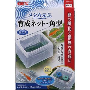 Petami オアシスイノベーション 大容量 2000mL 6個セット