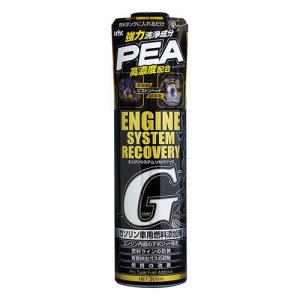 PROLAB (プロラボ) TCC-07 DPF ディーゼル燃料添加剤 100ml 軽油燃料用