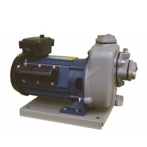 テラダポンプ セルプラポンプ 50mm Vベルト掛け 自吸式ポンプ 単体