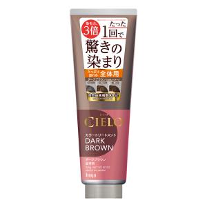 ヘアミカ ヘアカラー フォーム ダークブラウン 白髪染め 80g 1本 DR