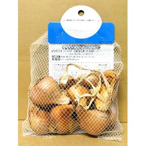 わけぎ 種球 1Kg 秋植え球根 分葱 家庭菜...の詳細画像1
