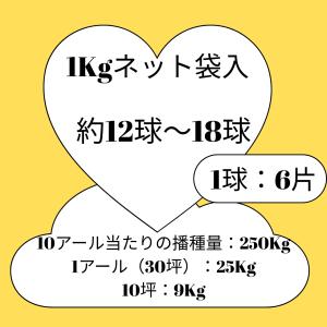 3袋以上でクーポン割引 にんにく ホワイト六片...の詳細画像1